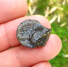 Monnaie gauloise curiosité 2 bronze SENON YLLYCCI fondus et collés rare