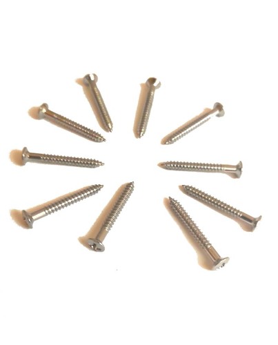 Vis nickel 25 mm pour - vis,