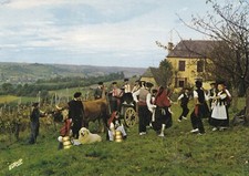 Carte postale postcard - , 10x15cm
