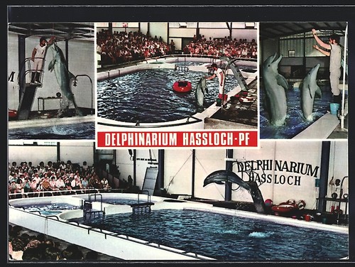 Carte postale hassloch - carte, /
