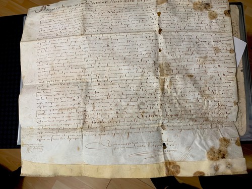 1573 très grand parchemin - très,