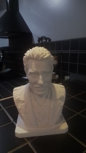 Buste johnny hallyday pla - johnny, en