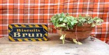 Boite en tôle lithographiée "Biscuits Brun" (Années 30)