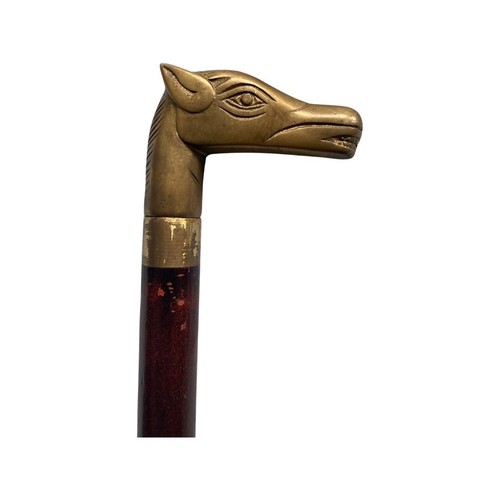 Canne tête cheval - canne, de
