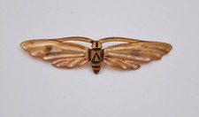 Broche Art Nouveau en corne de