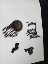 5 Éléments passementerie ancienne Perles Jais