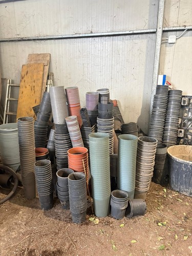 Vases en plastique - 50,