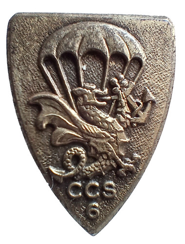 Insigne parachutistes para - insigne,