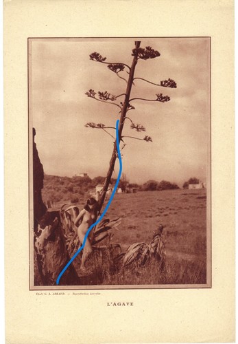 Vintage impression photo - vintage,
