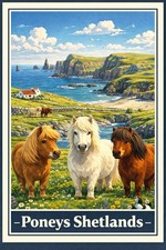 AFFICHE    POSTER Poney