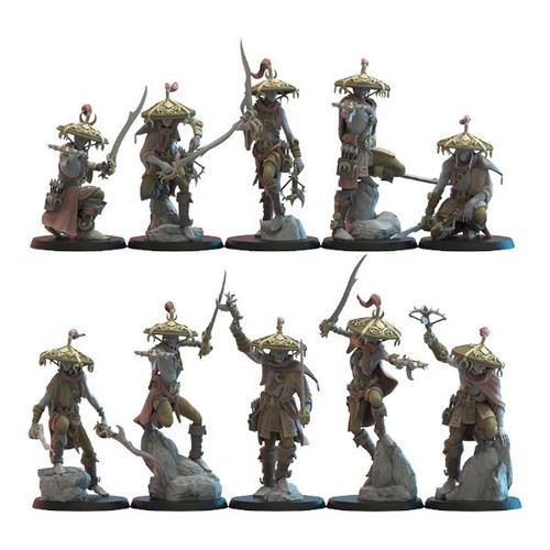 Elfes noirs corsaires - elfes,