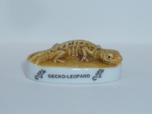 Feve lezards cameleons le - feve,