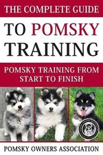 Pomsky Owners Association Jake