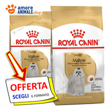 Royal Canin Chien → Adulte