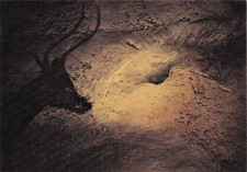 84 FONTAINE DE VAUCLUSE MUSEE DE SPELEOLOGIE