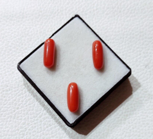 Cabochon corail rouge - ,