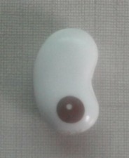 feve Poilane haricot 2005   