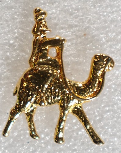 Wise man camel pinback - wise,