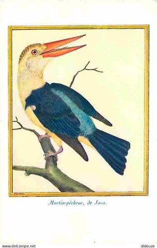 Carte postale animaux - carte,