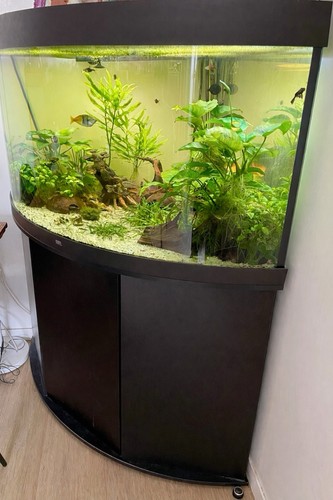 Aquarium juwel trigon 350 - 350, +