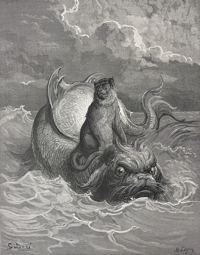 Singe dauphin gustave - et,