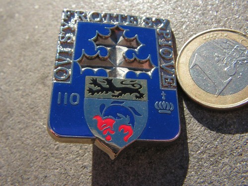 Insigne infanterie 110 eme - infanterie,