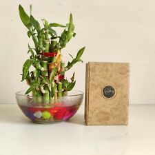 1920s Vintage E Coudray Paris Parfum Bouteille Carton Boîte Vide France CB463