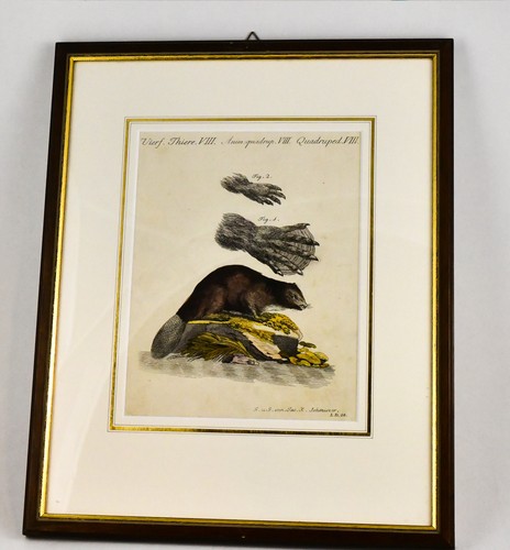 Ancienne gravure histoire - ancienne,