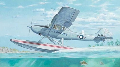 Bird dog floatplane - bird,