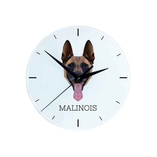 Berger belge malinois - belge,