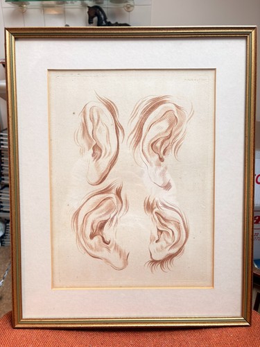 Ancien estampe gravure xixème - ancien,