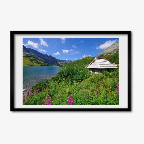 Tulup photo 60x40cm - tulup, mdf