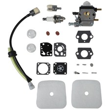 Carburateur efficace pour Echo