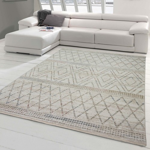 Tapis maison campagne salon - tapis,