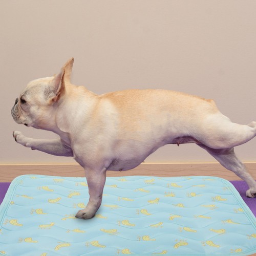 Tapis rafraîchissant pour - rafraîchissant,
