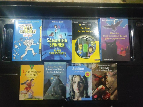 Lot livres bd pour - livres,
