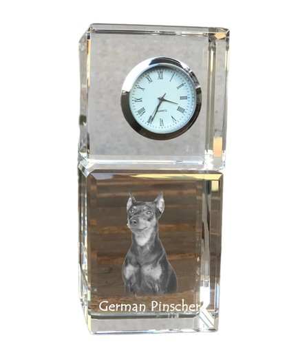 Allemande pinscher - allemande,
