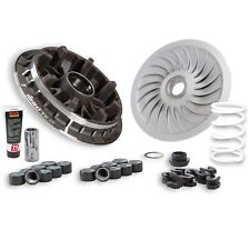 Mf1700 Variateur Molla