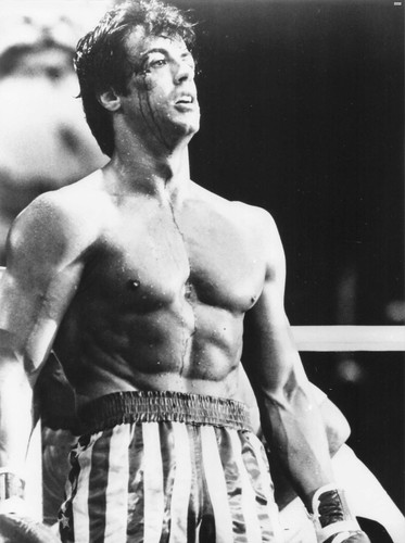 Sylvester stallone rocky - sylvester,