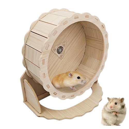Roue exercice bois 23 - bois, cm