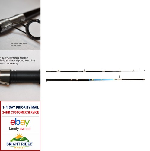Silver catfish spinning rod - catfish,