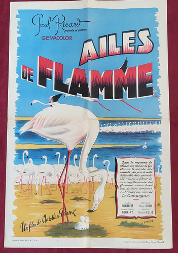 Affiche cinema authentique - affiche,