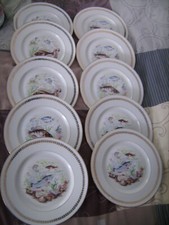 Lot de 10 assiettes à poisson