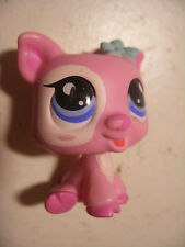 Hasbro Littlest PetShop PET