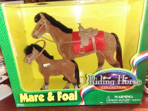 International riding horse - international,