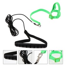  Harnais Pour Perroquet Laisse