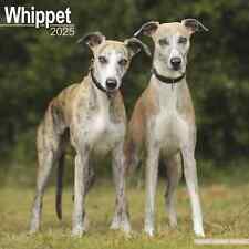 Calendrier 2025 -   WHIPPET