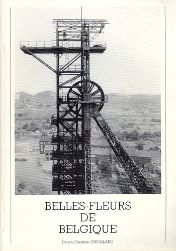 Belles fleurs belgique - fleurs, de