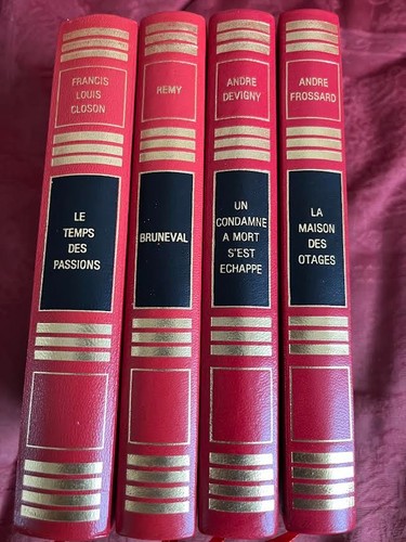 Lot livres françois beauval - 1,