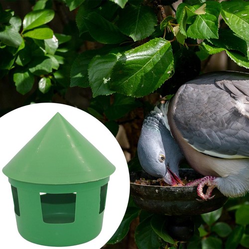 Mangeoire pigeons pour - mangeoire,
